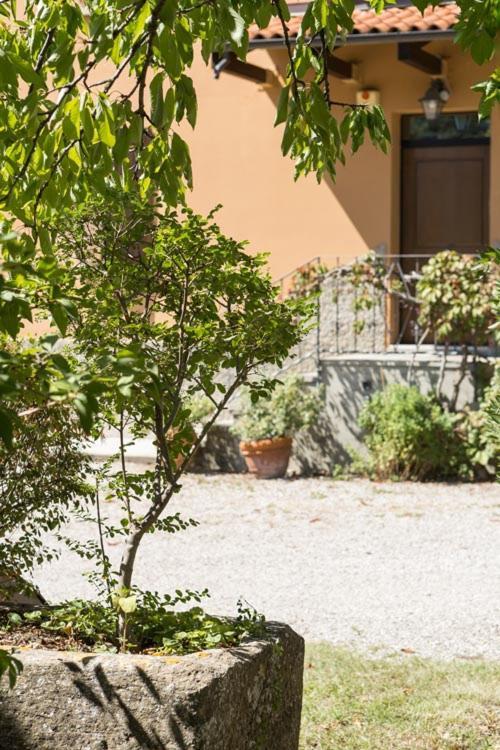 B&B Murolungo San Lazzaro di Savena Exterior foto